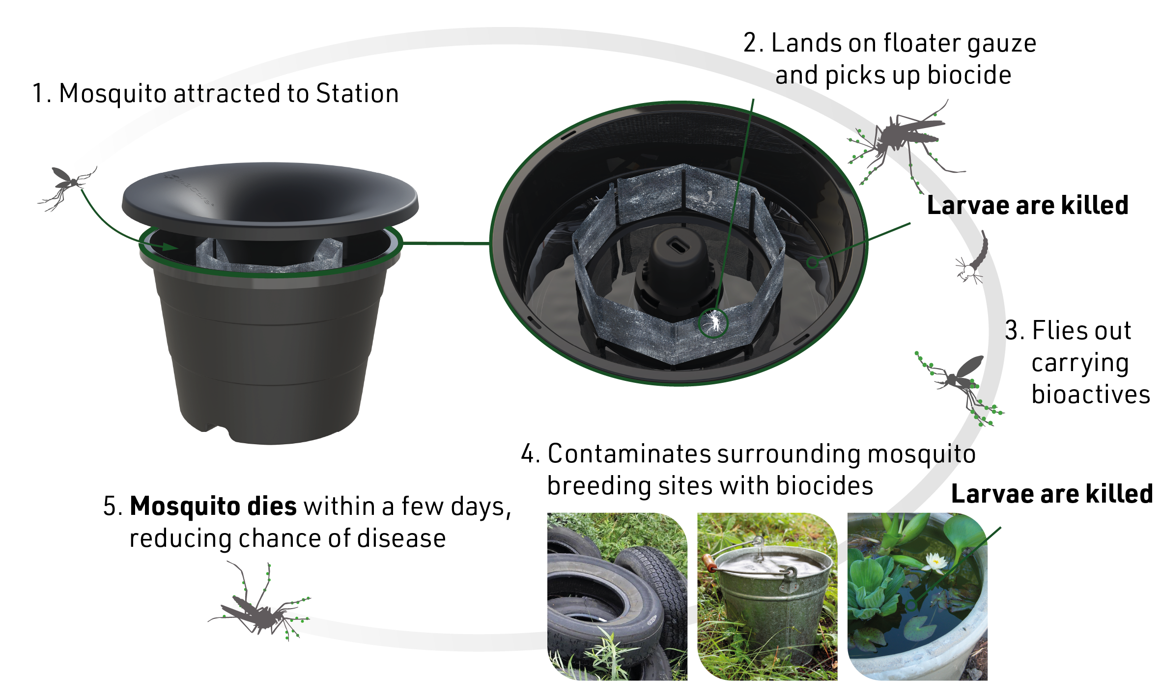 How the In2Care Mosquito Station works: mosquito is attracted, picks up biocide, contaminates nearby breeding sites, then dies